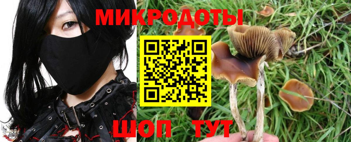 Псилоцибиновые грибы ЛСД Кумертау